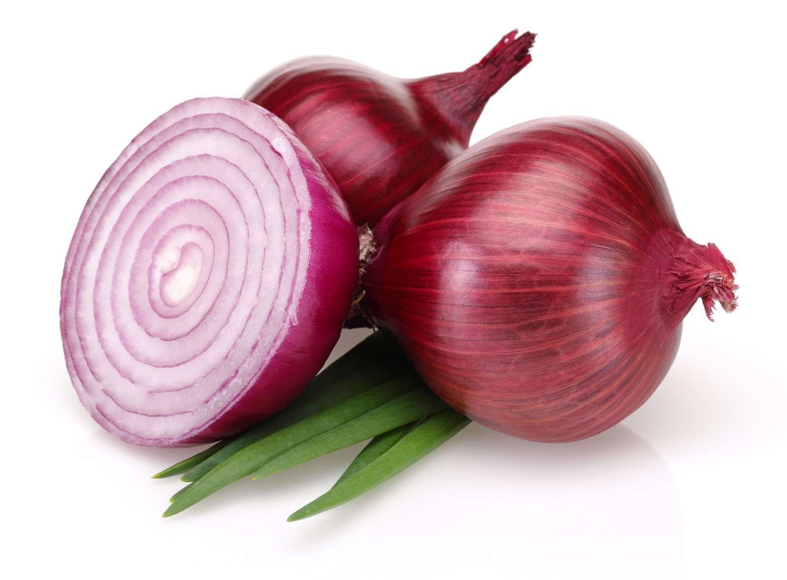 Image result for onion